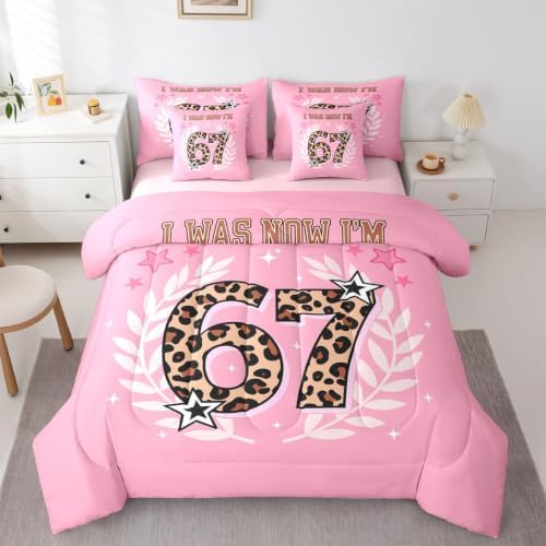 Erosebridal Six Seven Queen Bedding Sets for Girls Leopard Print 67 Comforter Set 7 Piece for Kids Birthday Gifts,Cartoon 67 Number Print Bed in A Bag Pink Kawaii Princess Sheet Set with Comforter