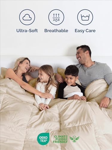 Queen Comforter Set - Wheat Bedding for All Seasons - Soft 3 Piece Bed Set