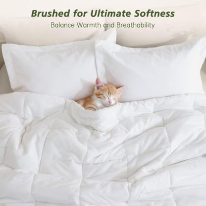 Queen Comforter Set with Sheets - 7 Pieces Bed in a Bag White Bedding Sets