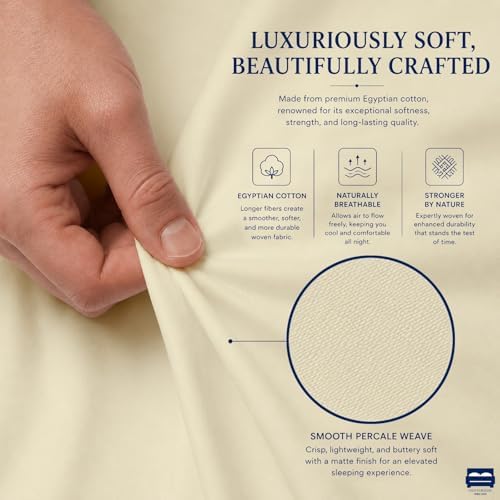 Cottingon 4 PC Olympic Queen Sheets, 15" Deep, Egyptian Cotton, Beige