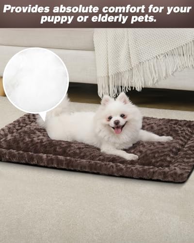 Exsnugy Washable Dog Bed Mat Medium Size Fluffy Pet Crate Pad 36x23