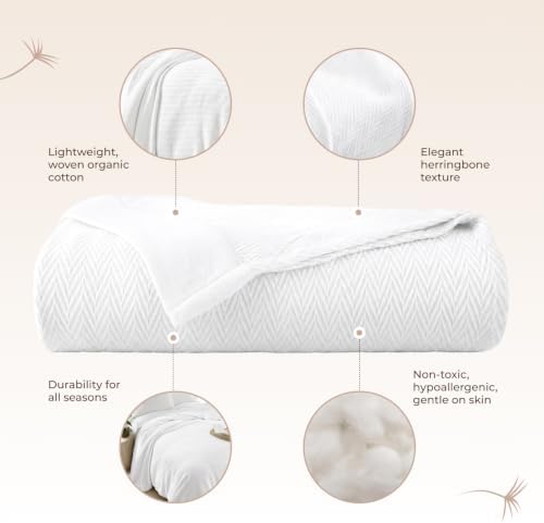 100% Organic Cotton Blanket - GOTS Certified 350GSM Organic Cotton Throw Blanket for Bed with Luxurious & Breathable Herringbone Weave - Great as Bedspread or Coverlet (White, Twin)