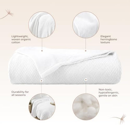 100% Organic Cotton Blanket - GOTS Certified 350GSM Organic Cotton Throw Blanket for Bed with Luxurious & Breathable Herringbone Weave - Great as Bedspread or Coverlet (White, Twin)