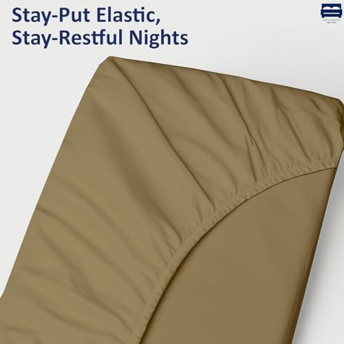 1 PC Cot Size 25" x 75" Fitted Sheet Only, 100% Egyptian Cotton,Taupe Solid