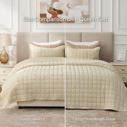 BEDELITE Velvet Quilt Set Queen Size, Luxury Velvet Comforter Bedding
