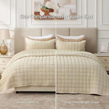 BEDELITE Velvet Quilt Set Queen Size, Luxury Velvet Comforter Bedding