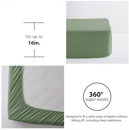 Twin Comforter Set 5 Piece, Sage Green Bed in a Bag Twin Size Bedding Sets