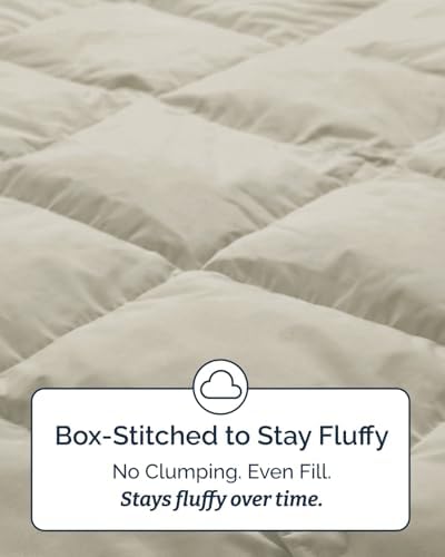 Twin XL Comforter Set - Brown/Beige All Season Bedding - 2 Piece Bed Set