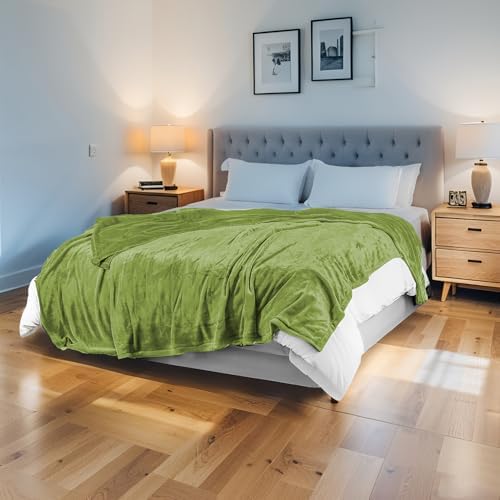 Electric Heated Blanket Full Size 72"x84", Light Grass Green