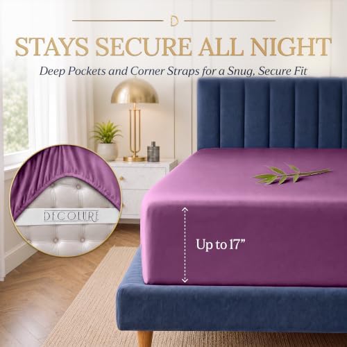 DECOLURE 100% Viscose Derived from Bamboo Sheets | 4 Pc Bed Set