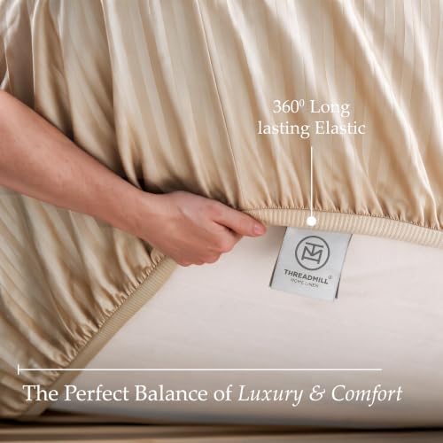 Threadmill 600TC Cotton King Sheet Set, Sateen, Damask Stripe, Beige