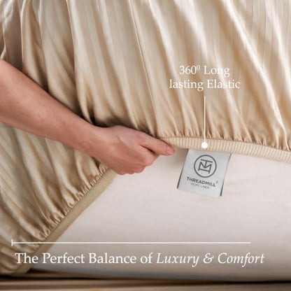 Threadmill 600TC Cotton King Sheet Set, Sateen, Damask Stripe, Beige