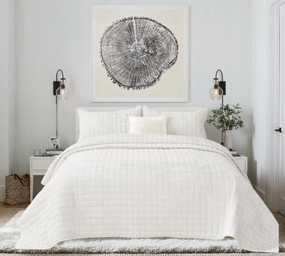 Quilt Set Queen Size 90x98 Luxurious Velvet Bedding Sets with 2 Pillow Shams 20x26 3 Pieces Ultra Soft Quilted Bedspread Coverlet Comforter for All Season,Cream