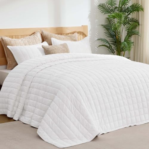 BEDELITE Velvet Quilt Set Queen Size, Luxury Velvet Comforter Bedding