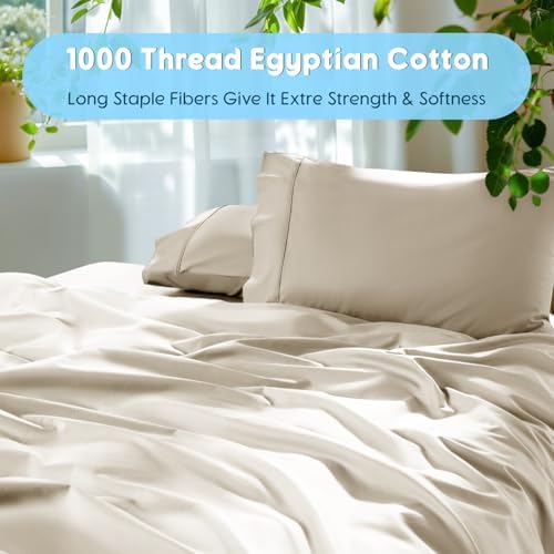 SONORO KATE 1000 Series 100% Egyptian Cotton Queen Sheet Set,4 Pieces