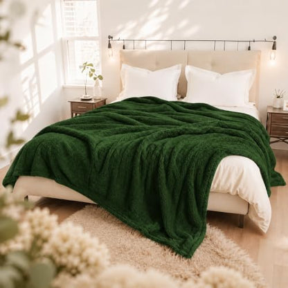 Eydna Electric Heated Blanket Full Size 72"×84" with 9 Heating Levels & 1-10Hs Auto Off，Double Sided Plush Sherpa, Energy Efficient, Machine Washable, for Couch & Bed, Gifts for Grandma- Green