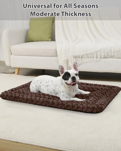 Exsnugy Washable Dog Bed Mat Medium Size Fluffy Pet Crate Pad 36x23