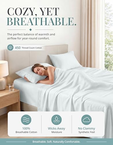 450TC 100% Cotton Queen Sheets - Silky Smooth Sateen Weave, Ballad Blue