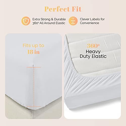 100% Egyptian Cotton Sheet California King Size - 800 Series Elite Collection Cal King Size Bed Sheets Set (4 PC, Silver), Soft, Cooling, 16" Deep Pocket Luxury Hotel Bedsheet