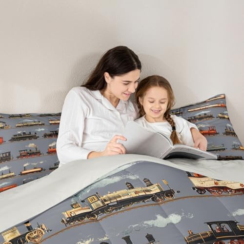 Feelyou Train Comforter Set Toddler Size Retro Steam Engine Train Bedding Set for Kids Boys Girls Vintage Transport Vehicle Duvet Quilt Bedroom Decor Microfiber 2 Pcs with 1 Pillow Cases