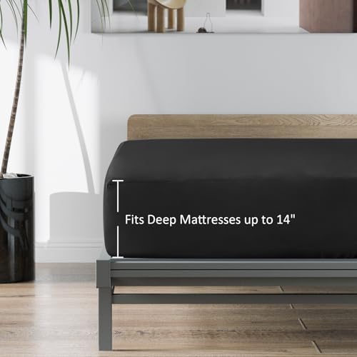 Twin Fitted Sheets 2 Pack Only, Black