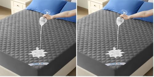 BEDLORE Waterproof Mattress Protector, Noiseless Queen Size Mattress Pad with Deep Pocket Fitted Up to 6"-18", Soft Breathable Dirt-Proof Bed Mattress Cover Washable Bedroom, Hotel (Gray) (Pack of 2)