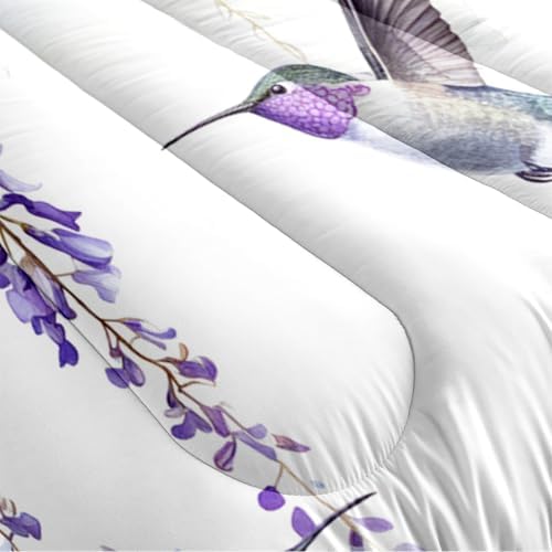 CCoutueChen Comforter Set Queen Purple Wisteria Bedding Set Hummingbirds Bedding Soft Down Alternative Comforter with 2 Pillowcases, Aesthetic Floral Design
