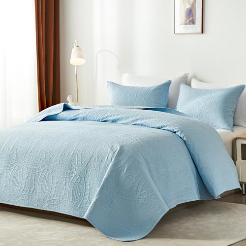 akkialla Queen Quilt Bedding Set,Sky Blue Ultrasonic Full/Queen Quilt Set,Lightweight Soft Bedspread Coverlet,Modern Style Coin Pattern Bed Cover for All Seasons,3 Piece(1 Quilt,2 Pillow Shams)