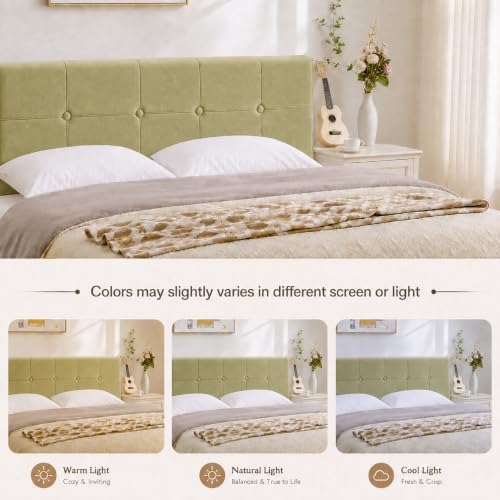 Queen Headboard with Adjustable Height