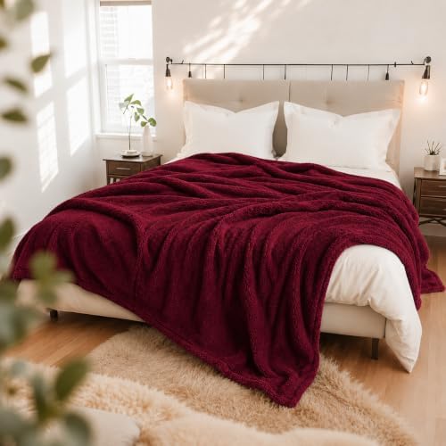Eydna Electric Heated Blanket Full Size 72"×84" with 9 Heating Levels & 1-10Hs Auto Off，Double Sided Plush Sherpa, Energy Efficient, Machine Washable, Couch & Bed, Gifts for Women- Red
