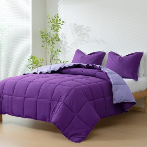 HIG 3pc Purple Queen Size Bedding Comforter Set Duvet Insert Blanket