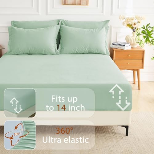 MUXHOMO 7 Pieces King Comforter Set, Soft Bed in a Bag King Size, All Season Bedding Set with Comforter, Flat Sheet, Fitted Sheet, Pillowcases & Shams, Sage Green