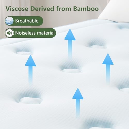 Hansleep 2 inch Memory Foam Mattress Topper Queen Egg Crate Mattress Pad