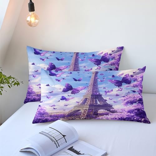 CCoutueChen Paris Comforter Set King Size, Romantic Bedding with Purple Butterfly Floral Bedroom Decor, 3 Pcs 2 Pillowcases, 104"x90"