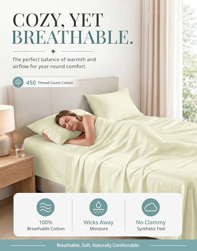 450TC 100% Cotton Twin XL Single Sheet Set - Silky Sateen Weave, Ivory