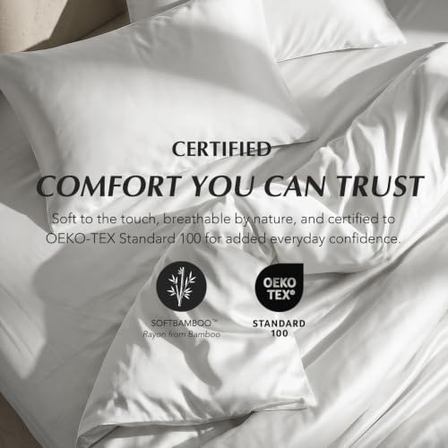 EverGrace 100% Rayon from Bamboo Duvet Cover Set, King Size, Frost Gray
