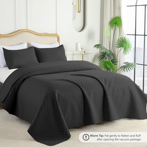 FLYMME Queen Quilt Bedding Set Black Lightweight Bedspreads Full Size,Soft Microfiber Bed Coverlet for All Season (1 Quilt, 2 Shams)