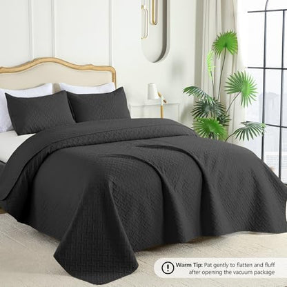 FLYMME Queen Quilt Bedding Set Black Lightweight Bedspreads Full Size,Soft Microfiber Bed Coverlet for All Season (1 Quilt, 2 Shams)