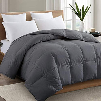 TEXARTIST Queen Comforter, All Season Down Alternative Gray Duvet Insert