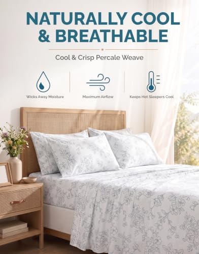 Casa Platino 100% Cotton King Sheet Set – 6 Piece King Sheet Set King with Crisp Cool & Soft Feel, with 15 Inch Deep Pocket Fitted Sheet, Breathable & Cozy for a Good Nights Sleep – Ashpetal