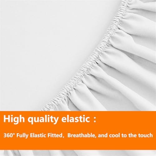 TAIMIT White Queen Size Comforter Set - 7 Pieces, Bed in a Bag Bedding Sets with All Season Soft Quilted Warm Fluffy Reversible Comforter,Flat Sheet,Fitted Sheet,2 Pillow Shams,2 Pillowcases