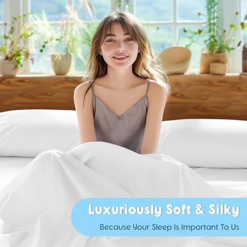 SONORO KATE 1000 Series 100% Egyptian Cotton Queen Sheet Set,4 Pieces