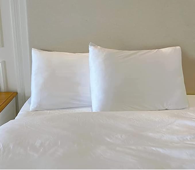 iMaylex Soft 100% Egyptian Cotton Zipper Pillow Case, Cozy and Lightweight Pillowcase, Set of 2, White, King, 20" x 36"
