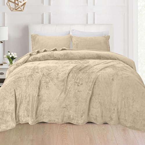 Elegant Comfort Luxuriously Soft 4-Piece Velvet Plush Flannel Sheet Set - Premium Quality - Cozy Warm, Anti-Static, Non Pilling Fuzzy Velvet Flannel Fleece Deep Pocket Sheet Set - Queen, Cream