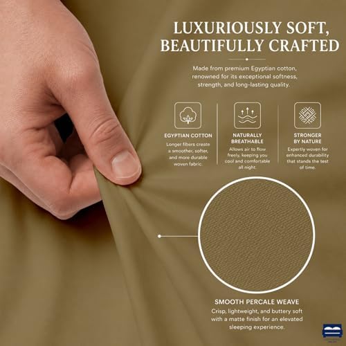 Cottingon 4 PC Olympic Queen Sheets, 15" Deep, Egyptian Cotton, Taupe