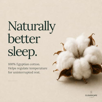 CLOUDSCAPE Millennium Series Egyptian Cotton Sheets TwinXL Size, FrenchBlue