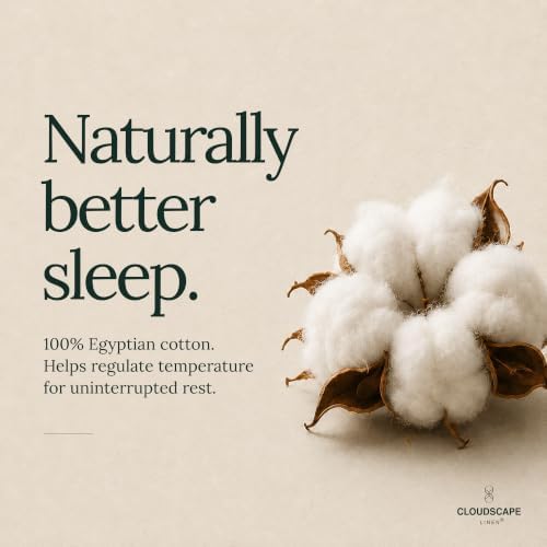 CLOUDSCAPE 600 Millennium Series White 100% Egyptian Cotton Sheet King