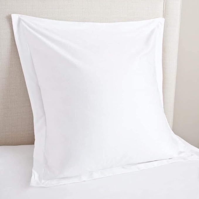 Euro Sham Covers 22x22 Set of 2 White 600 Thread Count 100% Egyptian Cotton Pack of 2 Euro 22x22 Pillow Cover Cushion Cover Cases Soft Skin Friendly European Size Decorative Square Pillow Shams