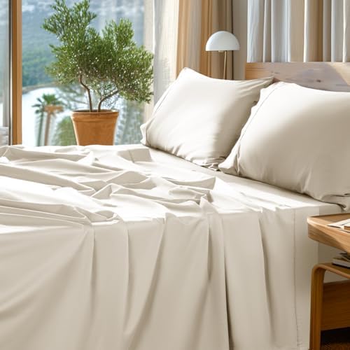 SONORO KATE 1000 Series 100% Egyptian Cotton Queen Sheet Set,4 Pieces