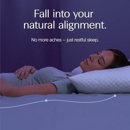 DreamyBlue Signature Adjustable Shredded Memory Foam Pillow King